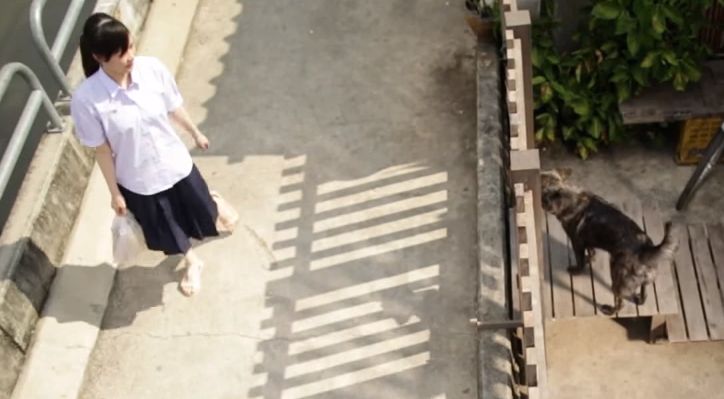 dog_phobia_girl_cured