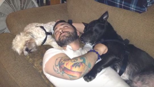 screenshot-www.pawsocute.com 2016-01-12 11-31-17