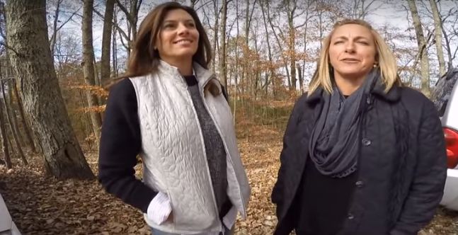 screenshot-www.pawsocute.com 2016-01-12 11-32-01