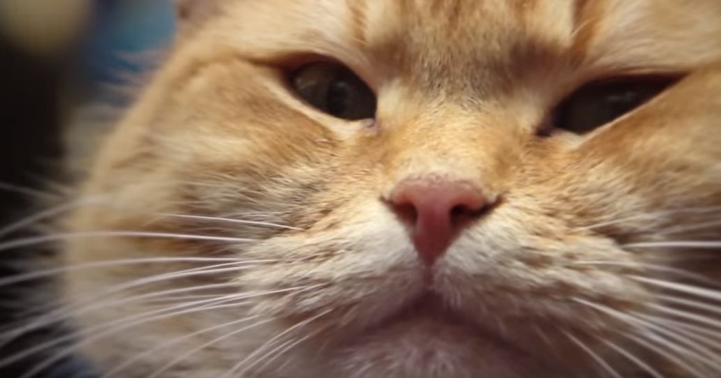 screenshot-www.youtube.com 2016-01-14 10-23-52