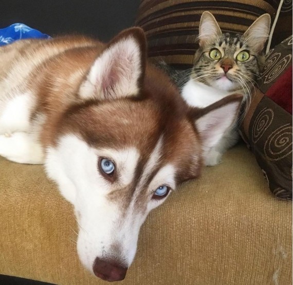 The two became inseparable. When sleeping, they can't not be touching!