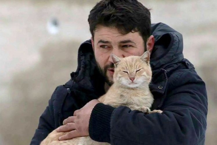 'Cat man of Aleppo' stays in Syria to look after pets left behind