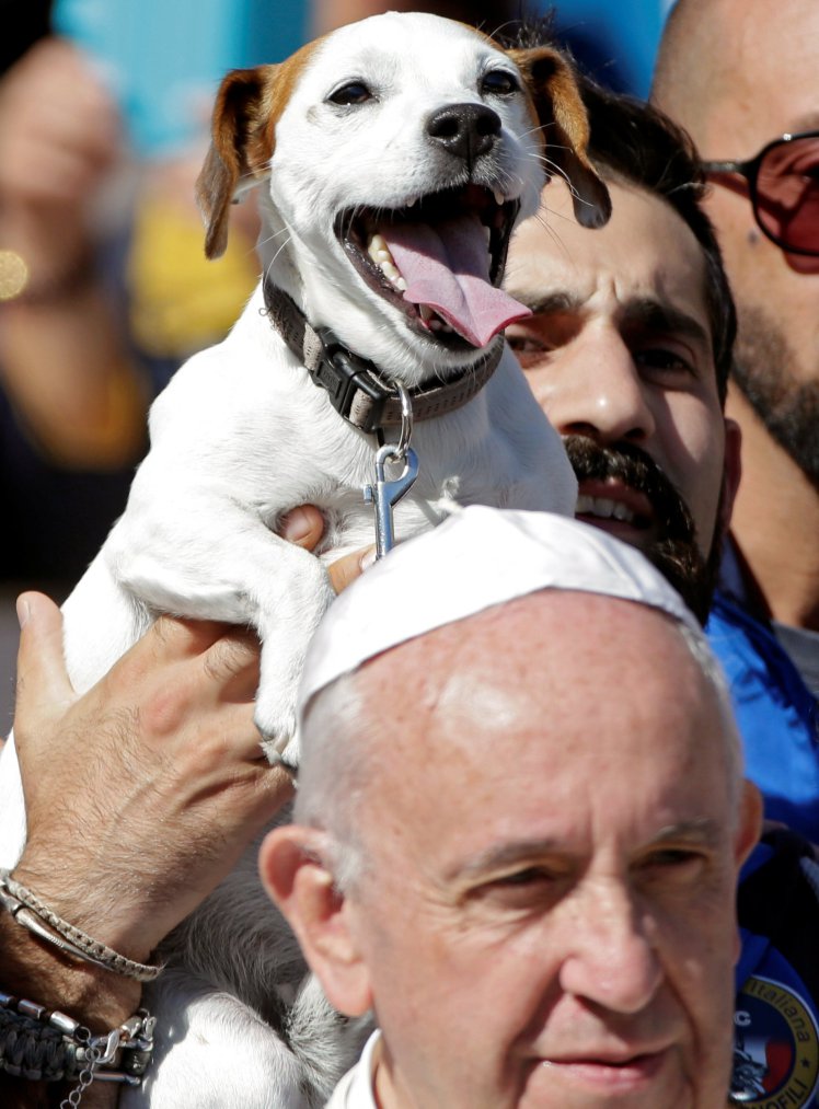 Pope photobombed at Vatican by grinning dog