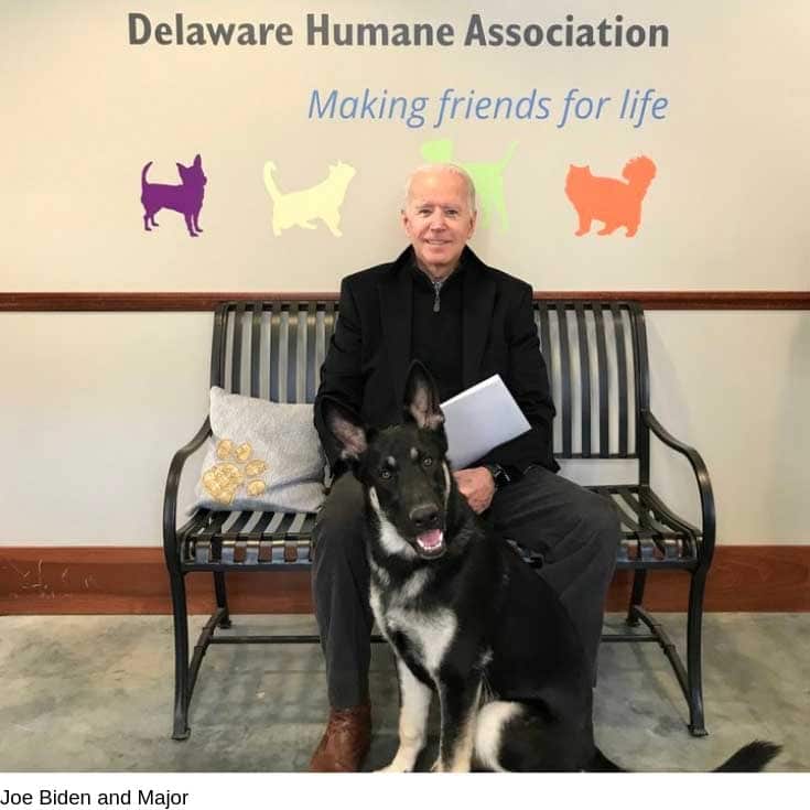 Joe Biden Adopts Foster Dog